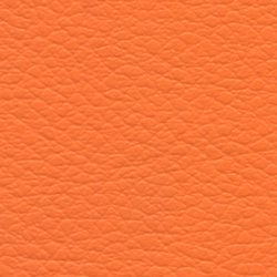 zucca-2346.jpg